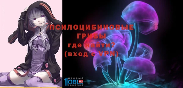 МДМА Медвежьегорск