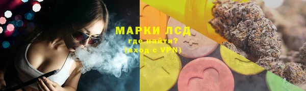 ГАЛЛЮЦИНОГЕННЫЕ ГРИБЫ Медногорск