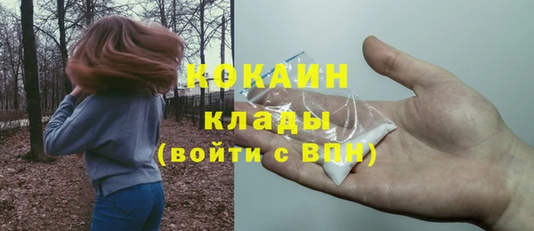 ГАЛЛЮЦИНОГЕННЫЕ ГРИБЫ Медногорск